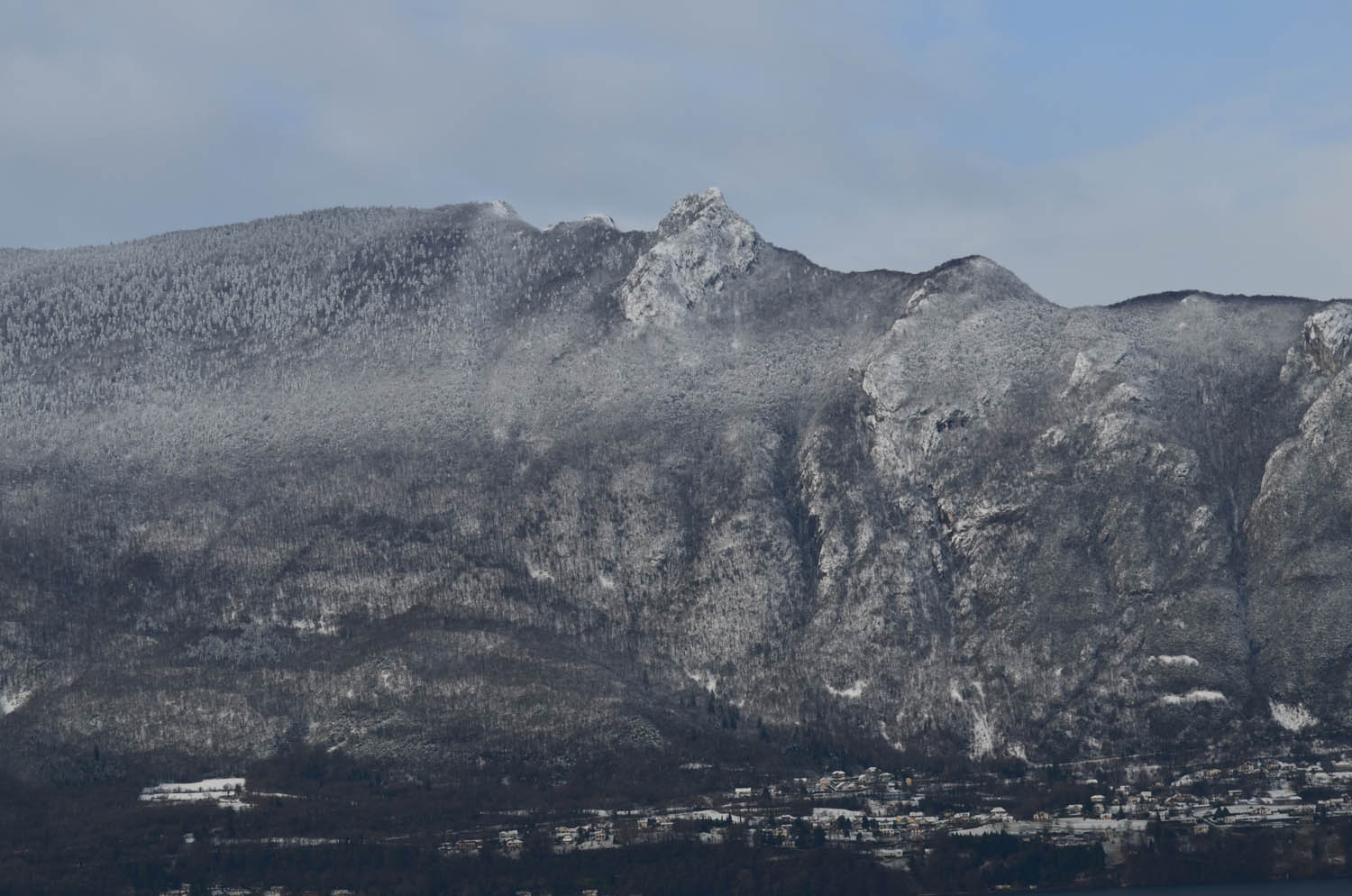 La dent du chat